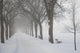 Assiniboine Park, Winnipeg, Manitoba, Canada Wall Mural