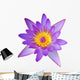 Purple Lotus Flower Wall Decal