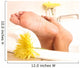 Bathing Feet Wall Mural