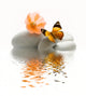 Zen Stones Butterfly Wall Decal