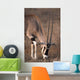 Oryx Wall Mural