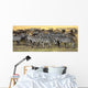 Masai Mara, Kenya Wall Mural