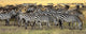 Masai Mara, Kenya Wall Mural