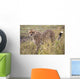 Cheetah Wall Mural