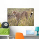 Cheetah Wall Mural