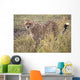Cheetah Wall Mural