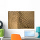 Elephant's Skin Wall Mural