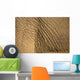 Elephant's Skin Wall Mural