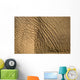 Elephant's Skin Wall Mural