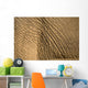Elephant's Skin Wall Mural