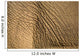 Elephant's Skin Wall Mural