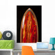 Red Surfboard Wall Mural