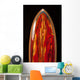 Red Surfboard Wall Mural