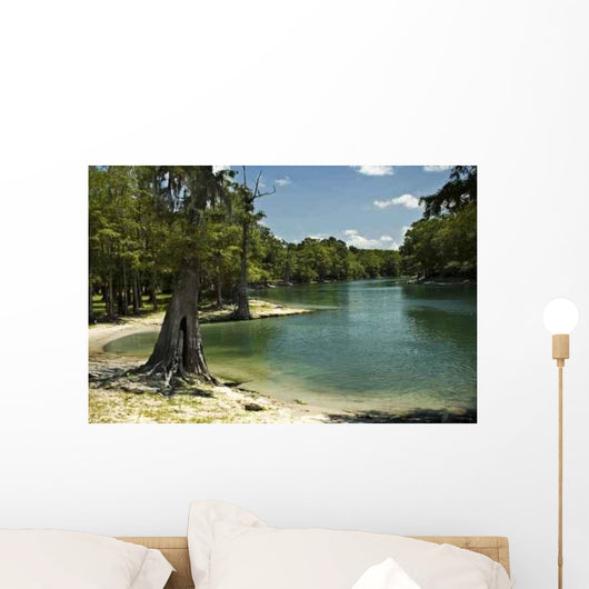River Beach Wall Mural