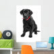 Black Labrador Wall Mural