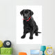 Black Labrador Wall Mural