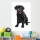 Black Labrador Wall Mural
