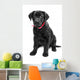 Black Labrador Wall Mural