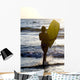 Woman On Beach Carrying Bodyboard Wall Mural