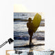 Woman On Beach Carrying Bodyboard Wall Mural