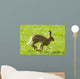 Hare Hopping In The Grass Wall Mural