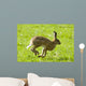 Hare Hopping In The Grass Wall Mural