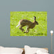 Hare Hopping In The Grass Wall Mural