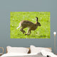 Hare Hopping In The Grass Wall Mural