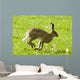 Hare Hopping In The Grass Wall Mural