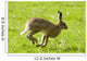 Hare Hopping In The Grass Wall Mural