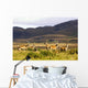 Island Of Islay, Scotland Wall Mural