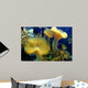 Coral Wall Mural