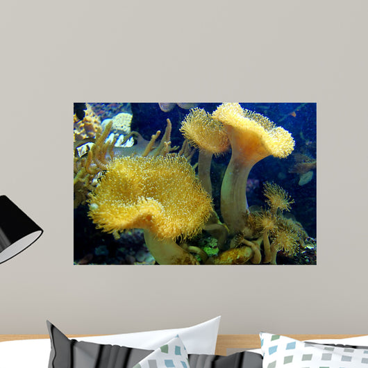 Coral Wall Mural