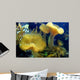 Coral Wall Mural