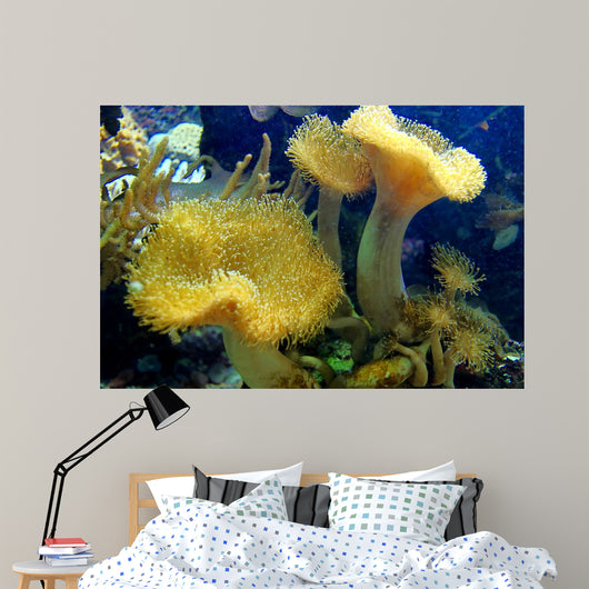 Coral Wall Mural