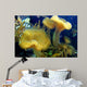 Coral Wall Mural