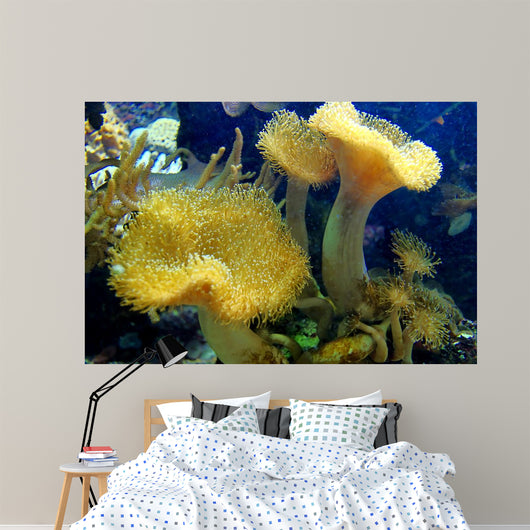 Coral Wall Mural