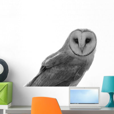 Owl Wall Decal shown on a wall