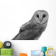 Owl Wall Decal