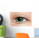 Closeup Of A Green Eye Wall Mural