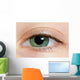 Closeup Of A Green Eye Wall Mural
