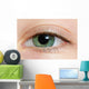 Closeup Of A Green Eye Wall Mural