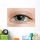 Closeup Of A Green Eye Wall Mural