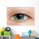 Closeup Of A Green Eye Wall Mural