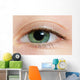 Closeup Of A Green Eye Wall Mural