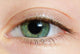 Closeup Of A Green Eye Wall Mural