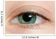 Closeup Of A Green Eye Wall Mural