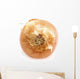 Onion Wall Mural