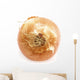 Onion Wall Mural