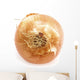 Onion Wall Mural